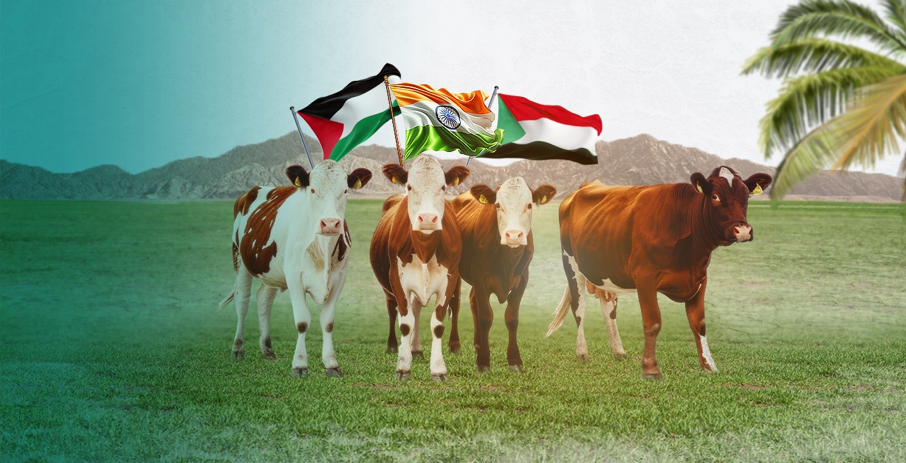 Qurbani Meat Supply Project